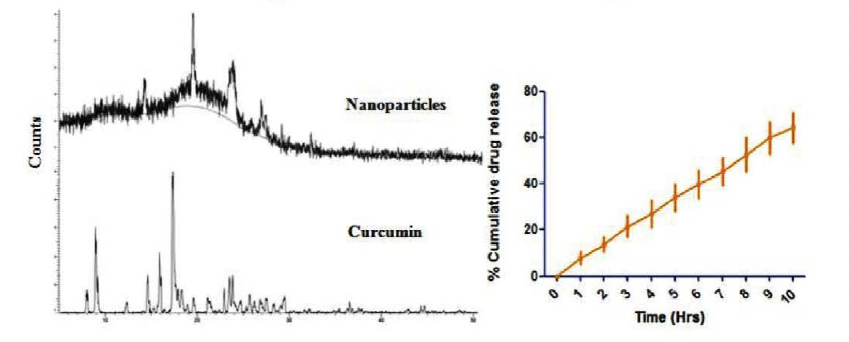 homogenized nanoparticles drug delivery results