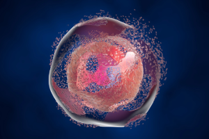 Cell Lysis Illustration
