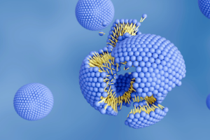 Cell Undergoing Cell Lysis