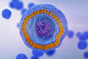 Liposomes graphic